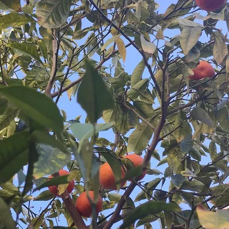 Apartment Punta Prima Gataway *