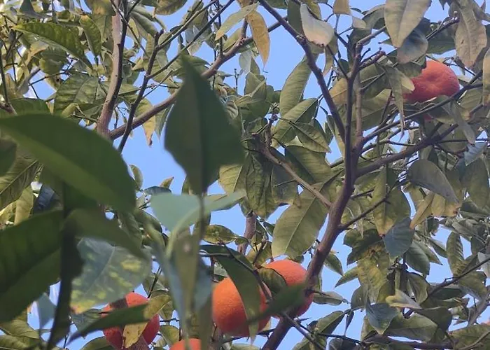 Appartement Punta Prima Gataway *